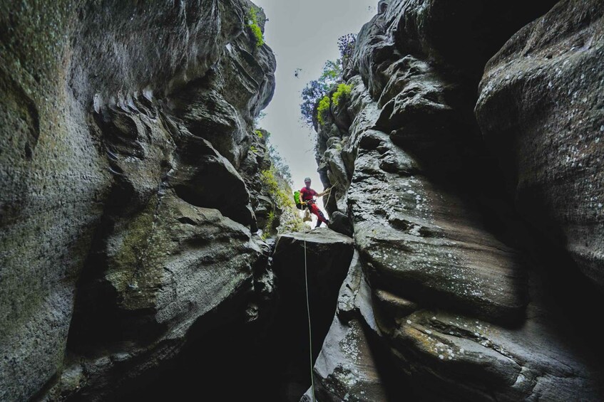 Picture 17 for Activity Santa Cruz de Tenerife: Vilaflor Canyoning Tour