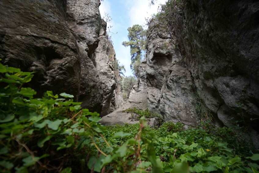 Picture 9 for Activity Santa Cruz de Tenerife: Vilaflor Canyoning Tour