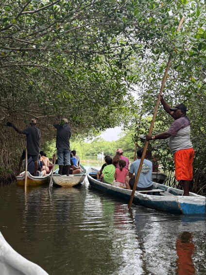 Picture 14 for Activity Typical lunch on beach, mangrove tour & fishing with natives