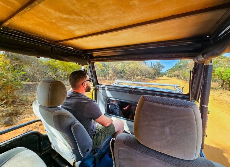 Picture 8 for Activity Yala National Park Wildlife safari from Galle
