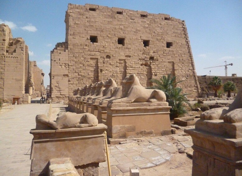 Picture 33 for Activity From Cairo: 8-Day Tour of Cairo, Luxor and Aswan with Cruise