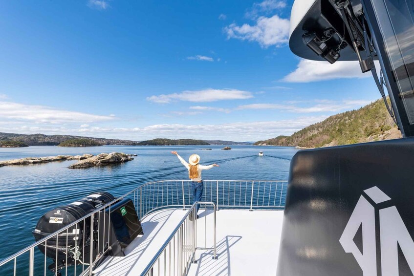 Picture 2 for Activity Oslo: Scenic Fjord Cruise with Audio Guide Commentary