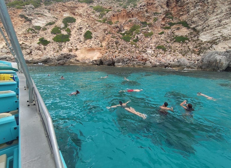 Picture 9 for Activity From Palma: 3-Hour Morning Dolphin Watching Boat Tour