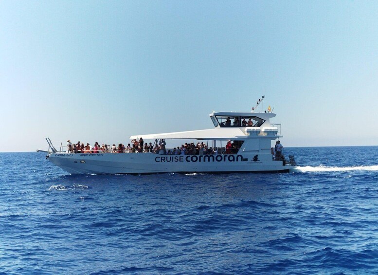 From Palma: 3-Hour Morning Dolphin Watching Boat Tour
