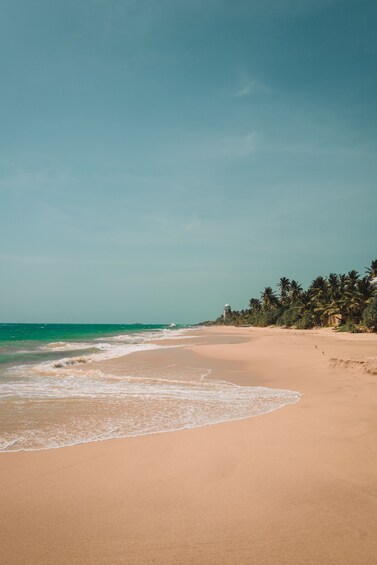 Picture 4 for Activity Surfing in Unawatuna