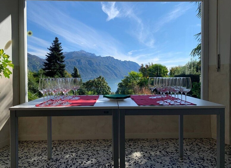 Picture 1 for Activity Menaggio: Wine Tasting and Snacks with Views of Lake Como