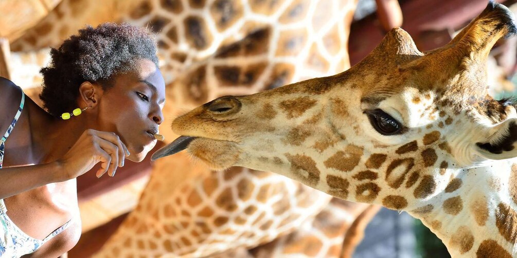 Picture 1 for Activity Giraffe Center, Elephant Orphanage and Bomas of Kenya Tour