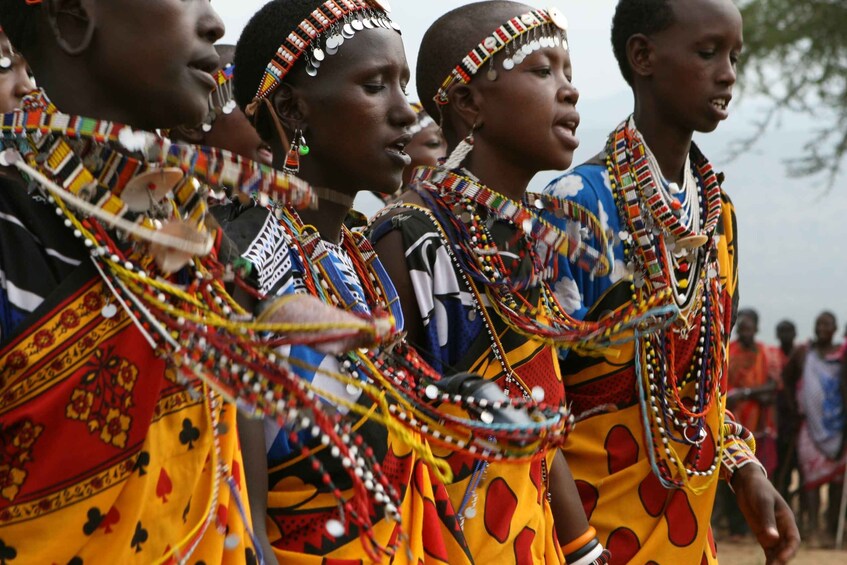 Picture 9 for Activity Giraffe Center, Elephant Orphanage and Bomas of Kenya Tour