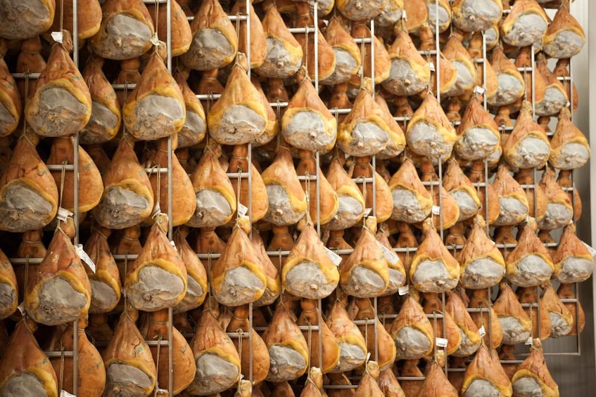 Picture 5 for Activity From Bologna: Parma Cheese & Ham Factory Tours and Tastings