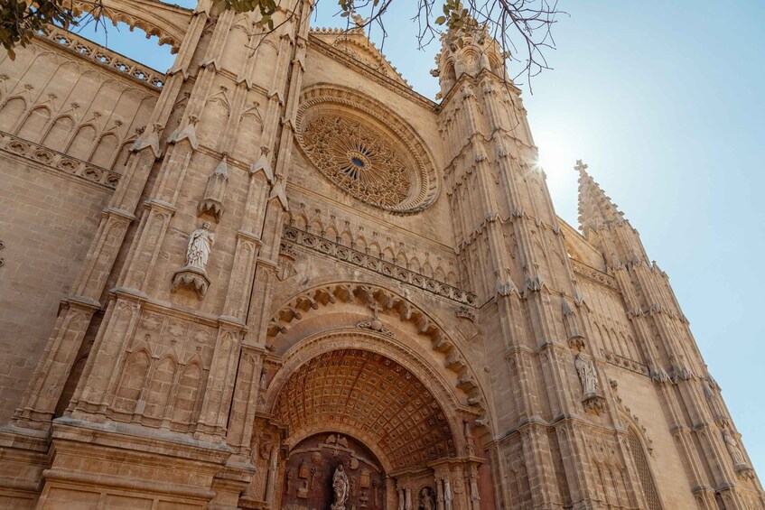 Picture 9 for Activity Highlights & Hidden Gems of Palma de Mallorca Private Tour