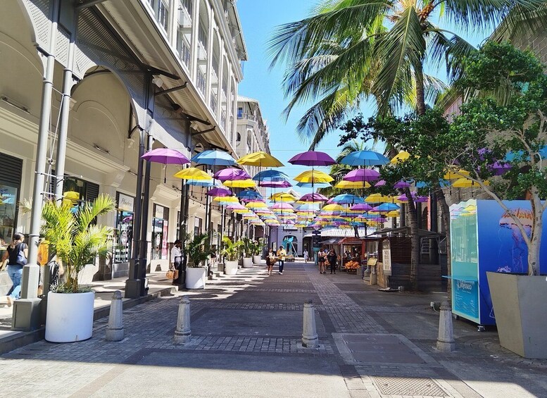 Picture 3 for Activity Mauritius: Full Day Tour of the North with Hotel Transfer