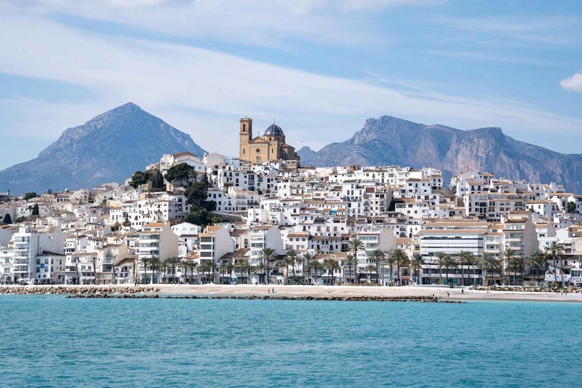 Picture 9 for Activity Altea: Catamaran Party Boat