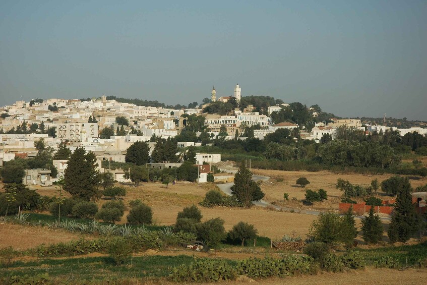 Picture 9 for Activity From Tunis: Oudhna & Zaghouan Day Tour with Guide & Lunch