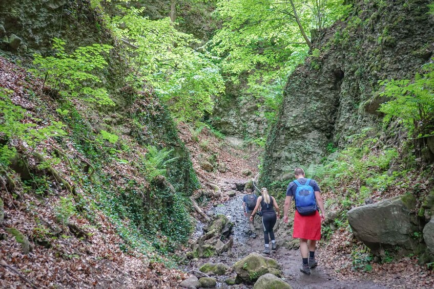Picture 6 for Activity Ram Gorge Hiking Adventure