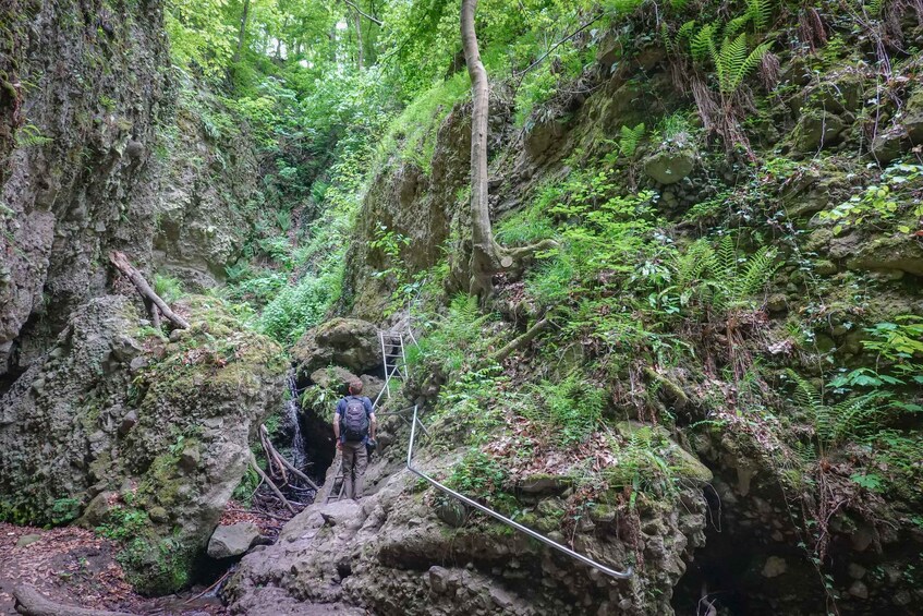 Picture 8 for Activity Ram Gorge Hiking Adventure