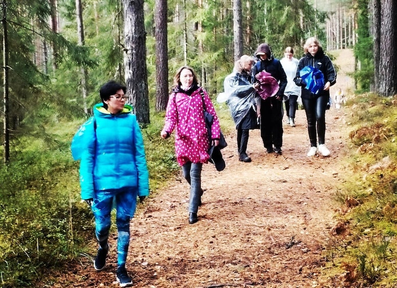 Kemeri National park Hiking trail (16 km)