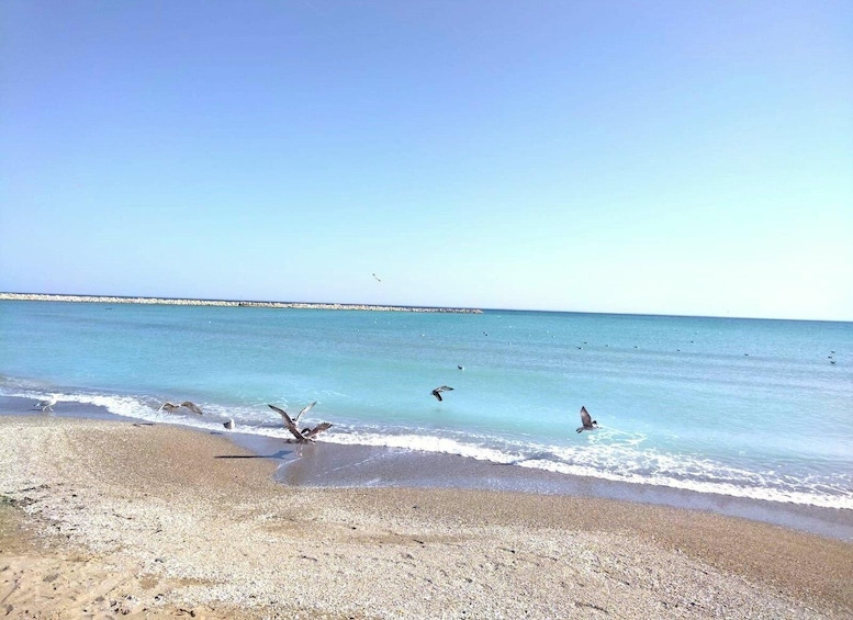 Private Bucharest Tour: Discover Constanța & Black Sea Coast