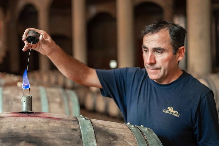 Picture 40 for Activity Wine Tour Maipo Valley