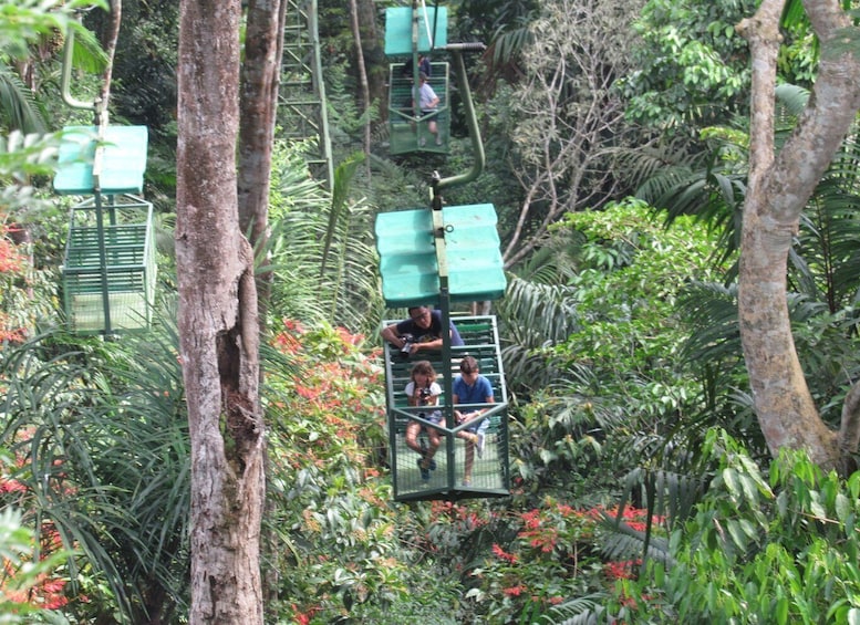 Picture 1 for Activity From Panama City: Aerial Tram and Sloth Sanctuary Tour