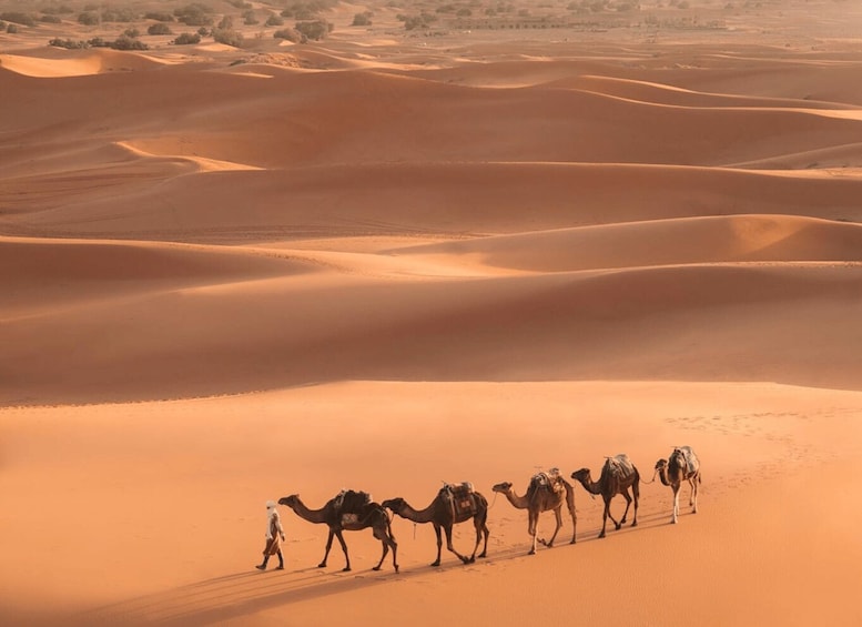 From Marrakech: 3-Day Merzouga and Sahara Desert Tour