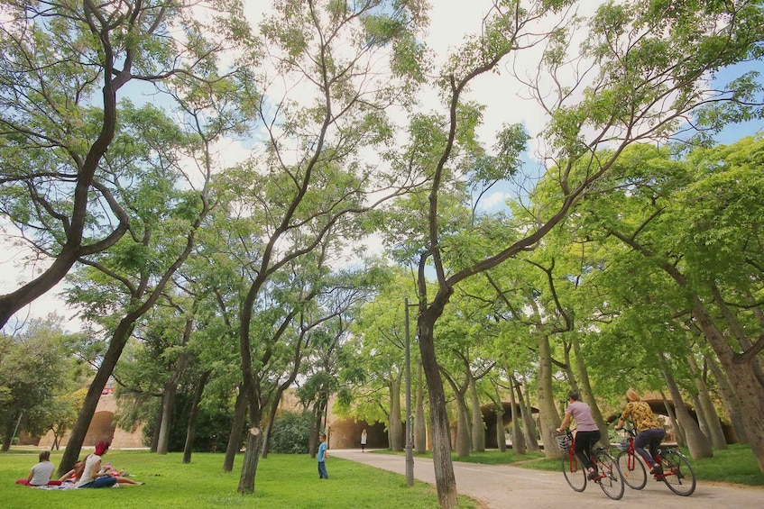 Valencia: Private City Tour on Bicycle, E-Bike or E-Step