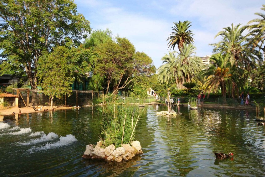 Picture 9 for Activity Valencia: Private City Tour on Bicycle, E-Bike or E-Step