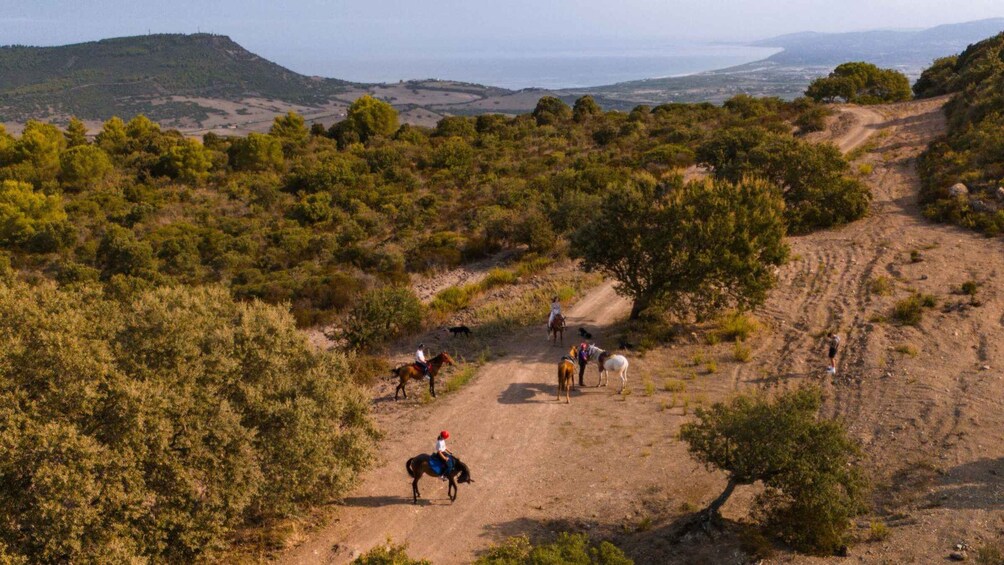 Picture 4 for Activity Sedini: horseback riding in Castelsardo area