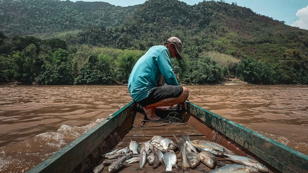 Picture 1 for Activity Luang Prabang: Mekong Fishing with a Local Fisherman & Lunch