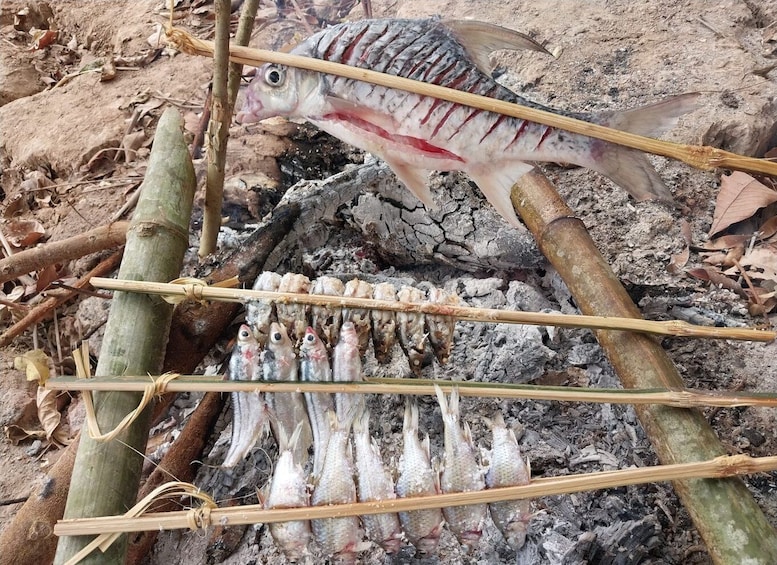 Picture 2 for Activity Luang Prabang: Mekong Fishing with a Local Fisherman & Lunch