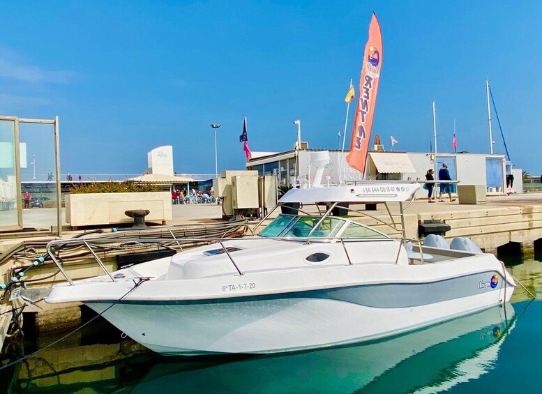 Picture 1 for Activity Rent Boat Valencia Yatch Polonova with capitan and drinks