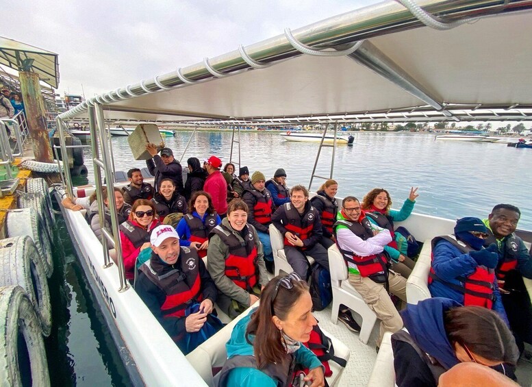 Picture 21 for Activity From Paracas: Ballestas Islands Guided Boat Tour
