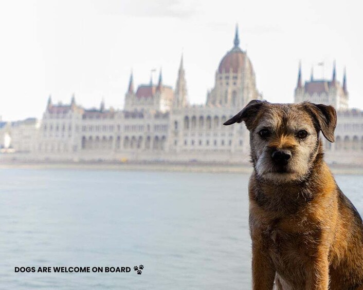 Picture 2 for Activity Budapest: Nighttime or Daytime Sightseeing Cruise