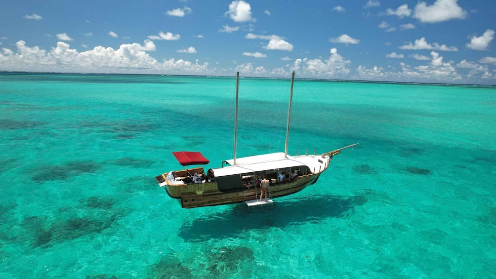 Picture 9 for Activity "Paradise Explorer: Snorkel, Sail, and Swim in Mauritius!"