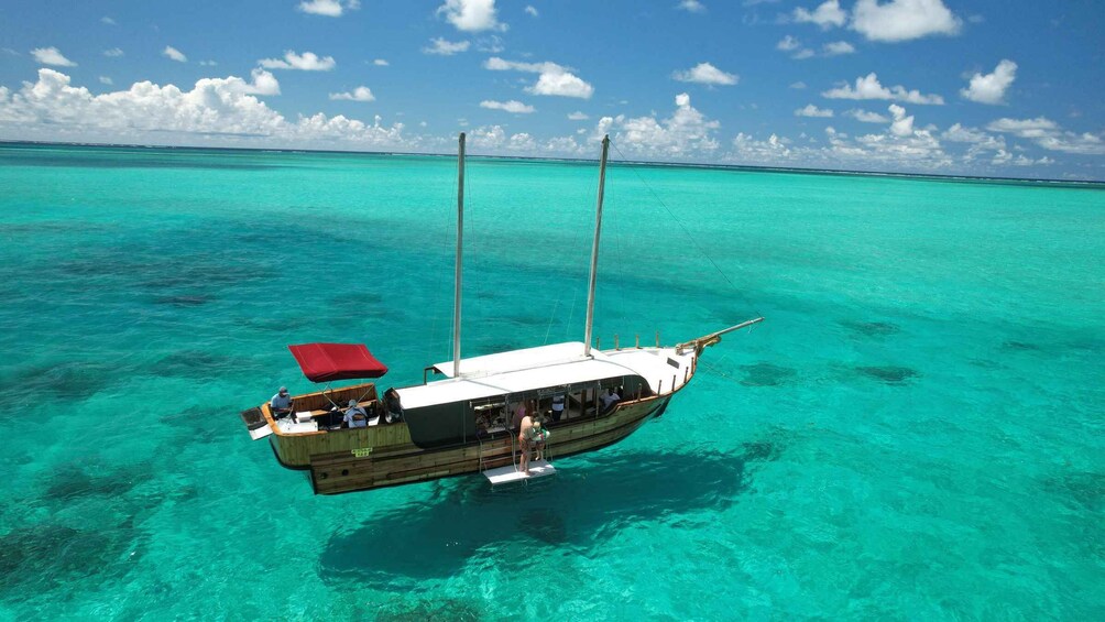 Picture 10 for Activity "Paradise Explorer: Snorkel, Sail, and Swim in Mauritius!"