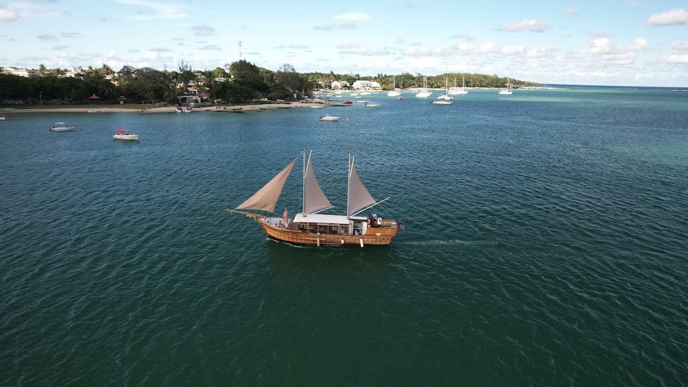 Picture 16 for Activity "Paradise Explorer: Snorkel, Sail, and Swim in Mauritius!"