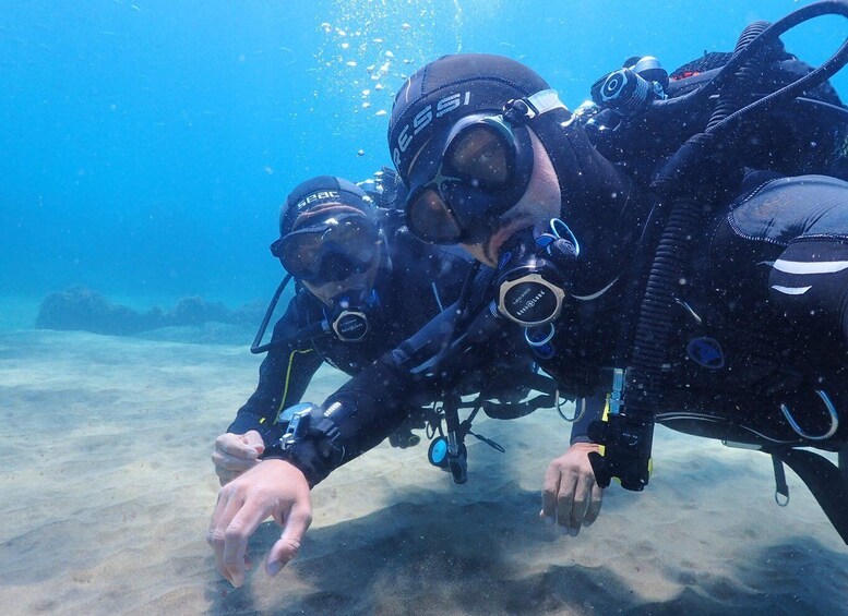 Picture 5 for Activity Lanzarote: Intro to Diving Experience for Beginners
