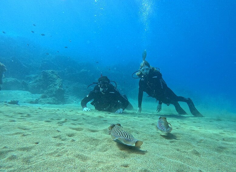 Picture 14 for Activity Lanzarote: Intro to Diving Experience for Beginners