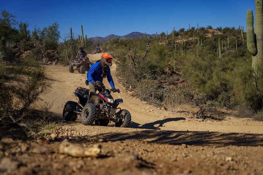 Sonoran Desert: Beginner ATV Training & Desert Tour Combo