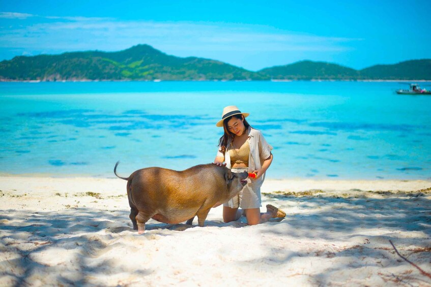 Koh Samui: Private Longtail Boat to Pig Island with Snorkel