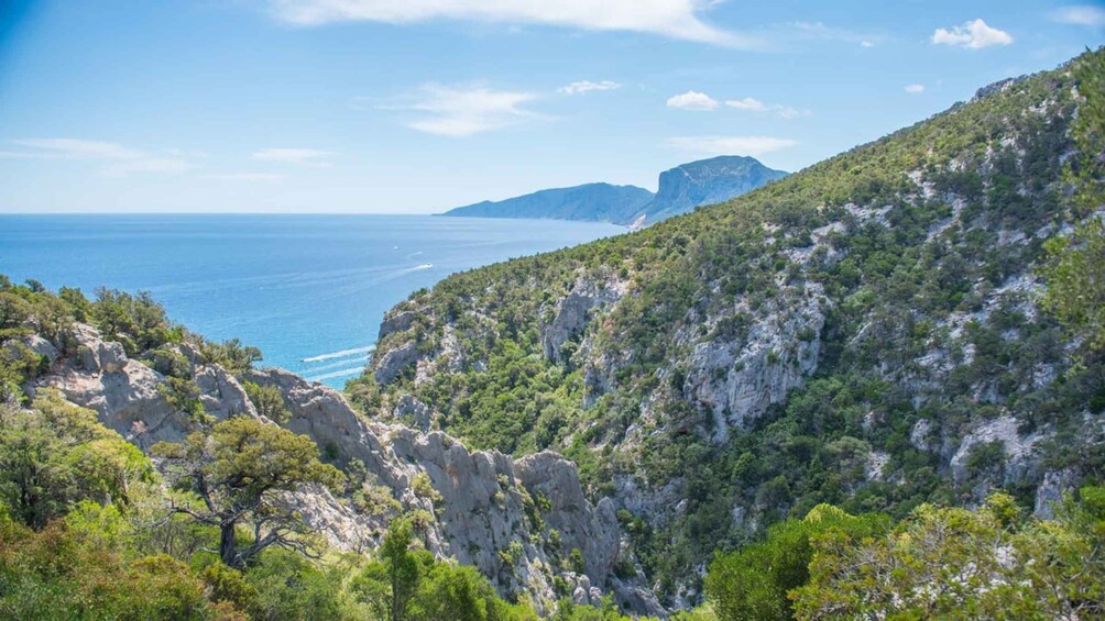 Picture 2 for Activity From Orosei/Dorgali: Hike to Cala Luna - Guided Day Trip