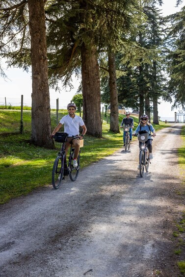 Picture 9 for Activity Bordeaux Wine and Bike Tour
