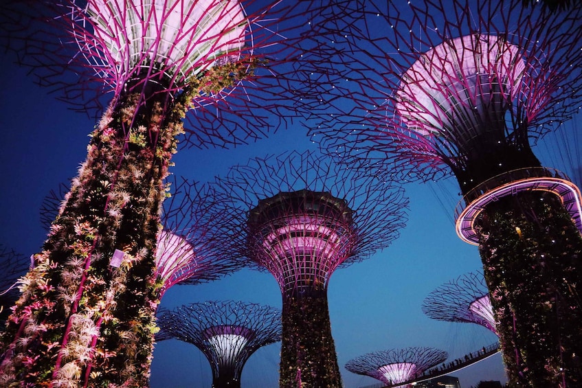 Singapore: Private Tour with a Local Guide
