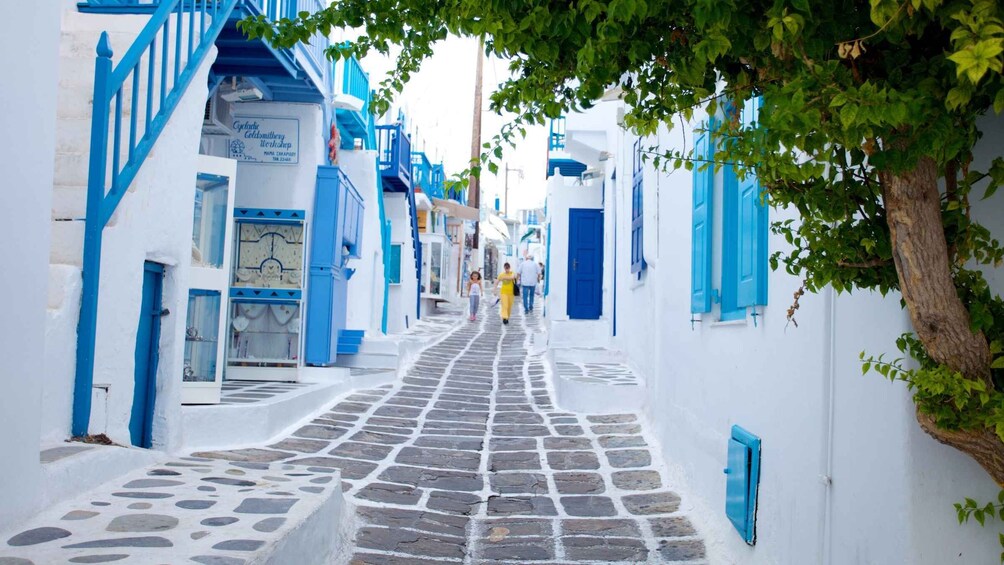 Picture 2 for Activity 7 Day Escape Trip to Santorini and Mykonos from Athens