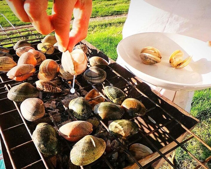 Picture 2 for Activity San Sebastian: Coast, Seafood and Wine Tour