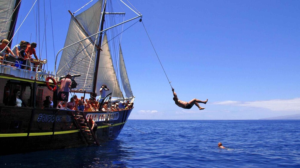 Picture 4 for Activity Los Gigantes: Dolphin and Whale Watching Tour with Drinks
