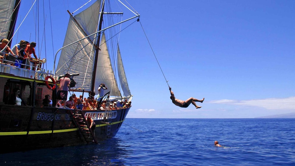 Picture 4 for Activity Los Gigantes: Dolphin and Whale Watching Tour with Drinks