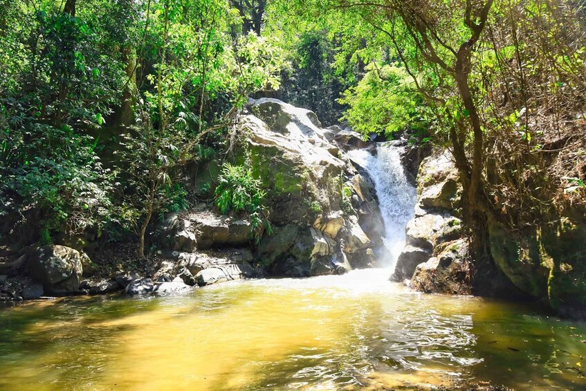 Picture 5 for Activity Santa Marta: Minca Coffee, Cocoa, & Waterfall Full-Day Trip