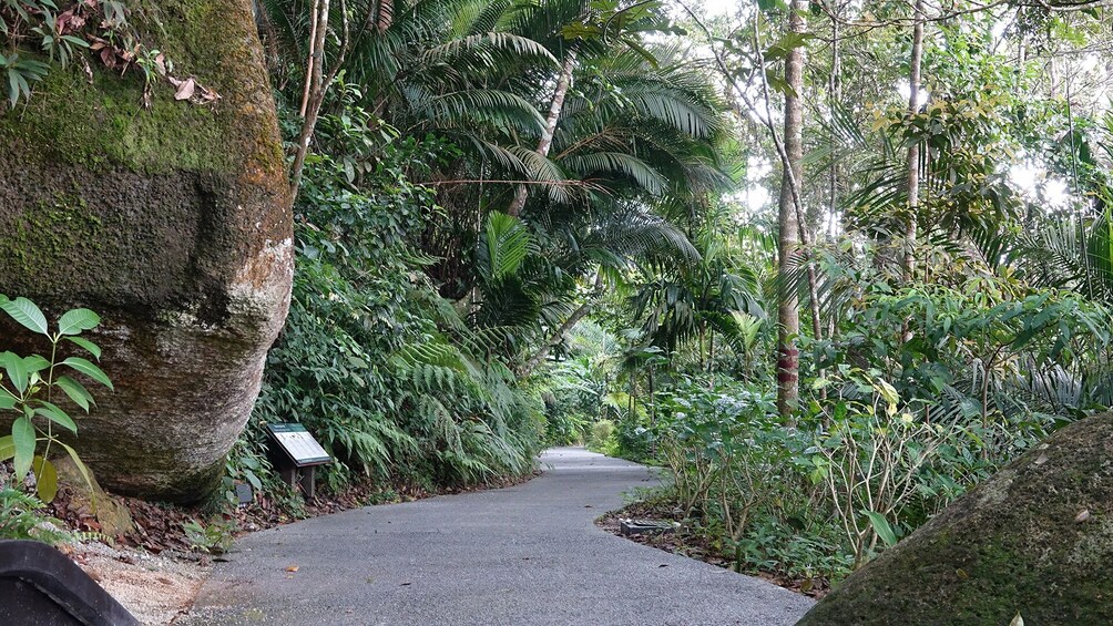 Private Penang Hill Habitat Nature Walk with Lunch