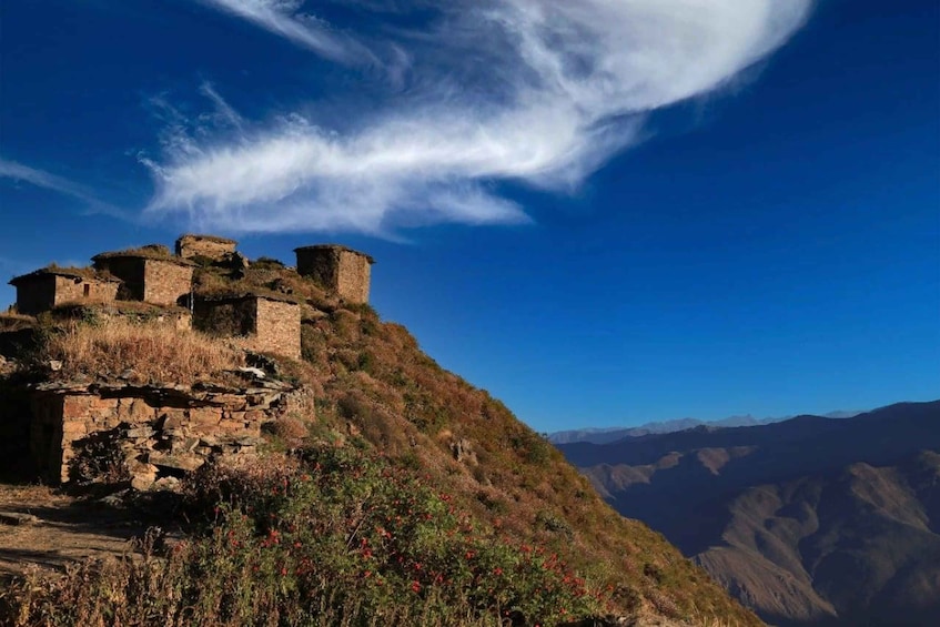From Lima |Tour of the province of Huaral - Chancay Full day