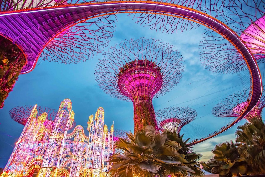Picture 5 for Activity Singapore: Gardens by the Bay Admission E-Ticket